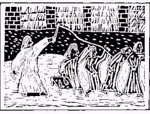 bwc1.jpg (48576 bytes)