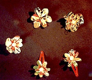 clips.jpg (40746 bytes)