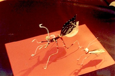 insects.jpg (36387 bytes)