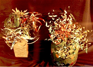 plant2.jpg (58686 bytes)